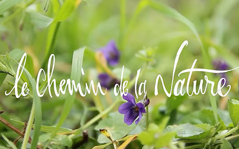 Le chemin de la Nature